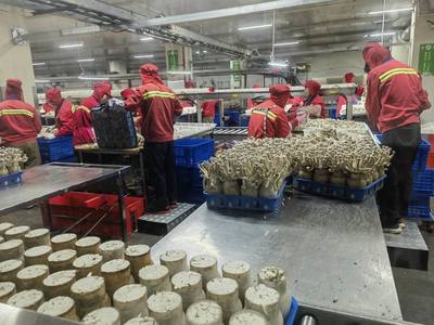 市農(nóng)業(yè)農(nóng)村局局長(zhǎng)于靈才帶隊(duì)赴廈門開(kāi)展招商引資 促進(jìn)農(nóng)業(yè)貿(mào)易合作