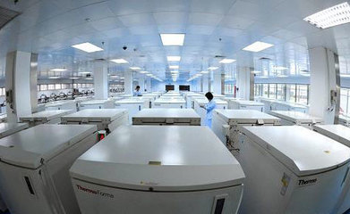 我國將制定臍帶血干細胞移植規范方案，推動技術開發與應用