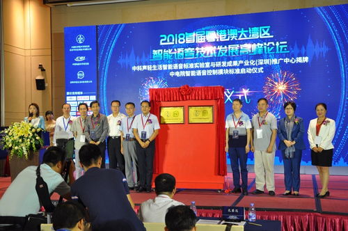 中科聲輕生活智能語(yǔ)音標(biāo)準(zhǔn)深圳實(shí)驗(yàn)室揭牌 開啟智能語(yǔ)音技術(shù)開發(fā)新篇章