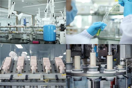 袋鼠媽媽天然國(guó)度 以創(chuàng)新服務(wù)與尖端技術(shù)，鑄就母嬰行業(yè)領(lǐng)導(dǎo)品牌